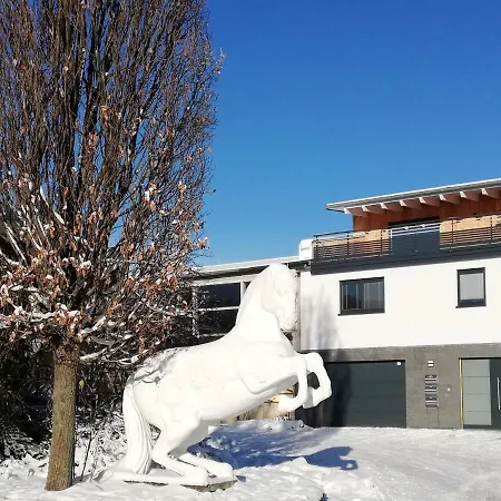 Ferienwohnung An Der Reitanlage Glashutte  Exterior photo