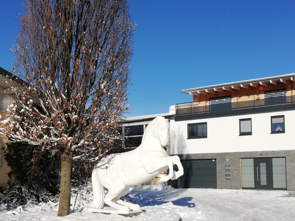 An Der Reitanlage * Glashutte (Saxony)